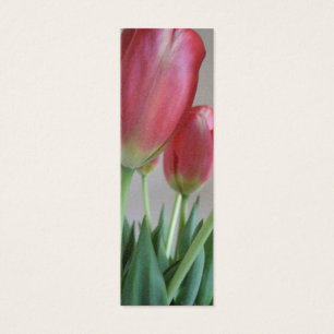 Señales rosadas de los tulipanes