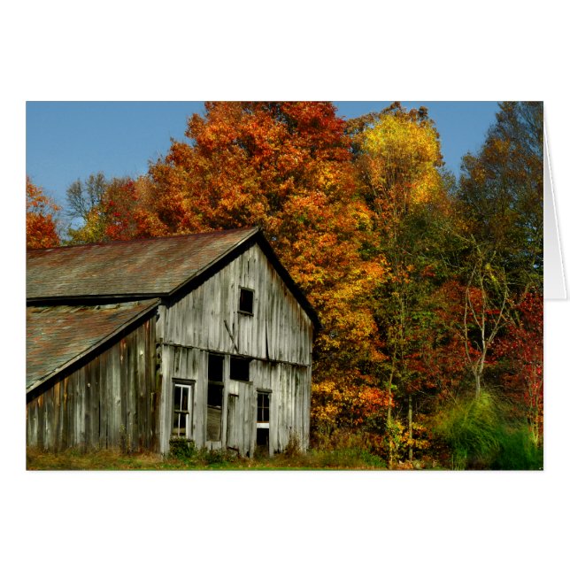 Sencillamente País (Anverso (Horizontal))