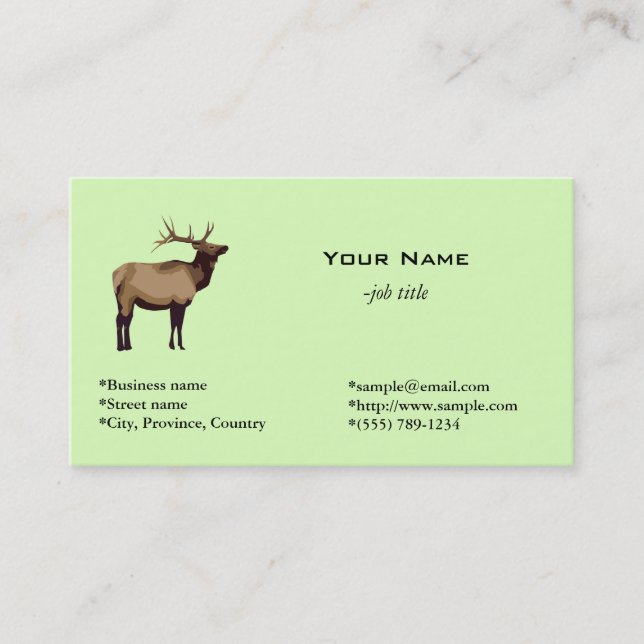 Sencillas tarjetas de negocios de color verde clar (Anverso)