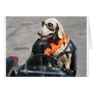 Sencillo piloto