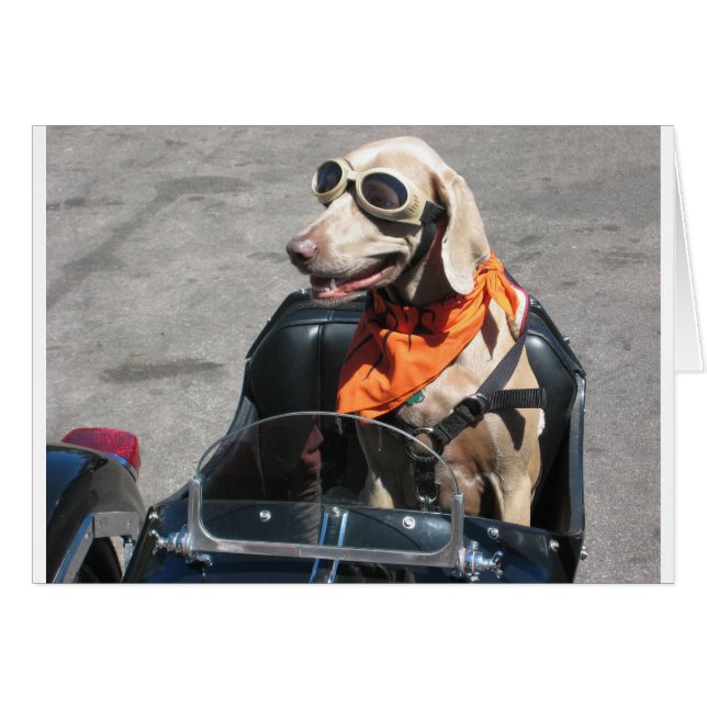 Sencillo piloto (Anverso (Horizontal))