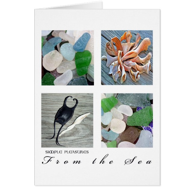 Sencillos placeresDesde el mar (Frente)