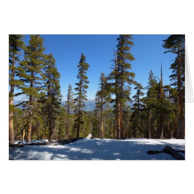 Senderismo bajando desde Mitchell Peak en Sequoia (Anverso (Horizontal))