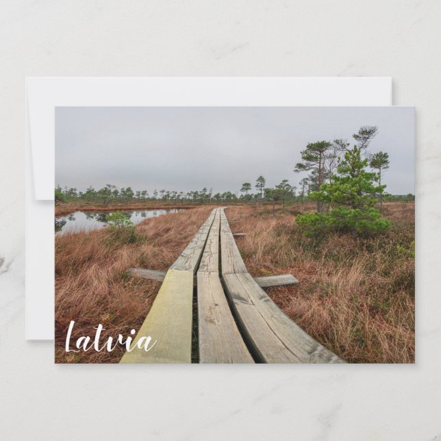 Senderismo en el pantano (Anverso)