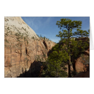 Sendero a Angels Landing en el Parque Nacional Zio