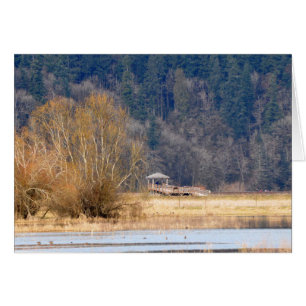 Sendero al Nisqually, Refugio Nacional de Vida Sil