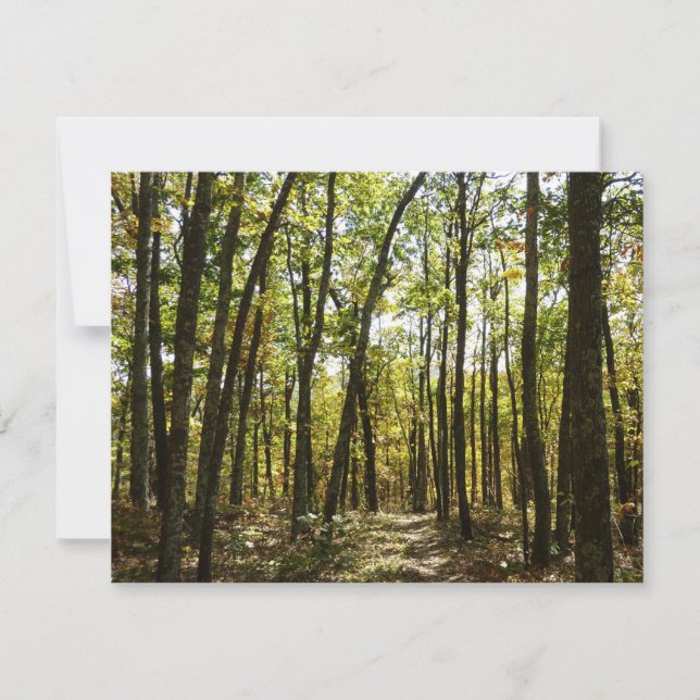 Sendero Apalache en octubre en Shenandoah (Anverso)