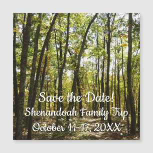 Sendero Apalache en octubre en Shenandoah