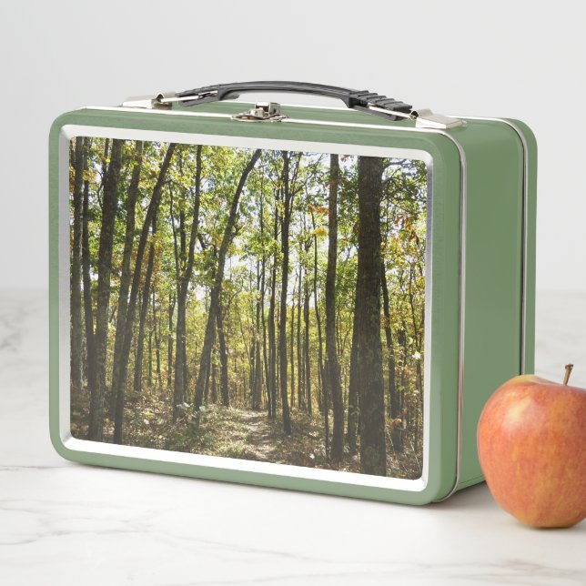 Sendero Apalache en octubre en Shenandoah (In situ)