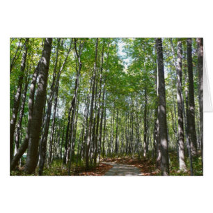 Sendero Arbolado Centenario II Ellicott City Maryl