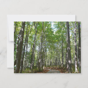 Sendero Arbolado Centenario II Ellicott City Maryl