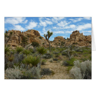 Sendero Barker Dam Loop en el Parque Nacional Josh