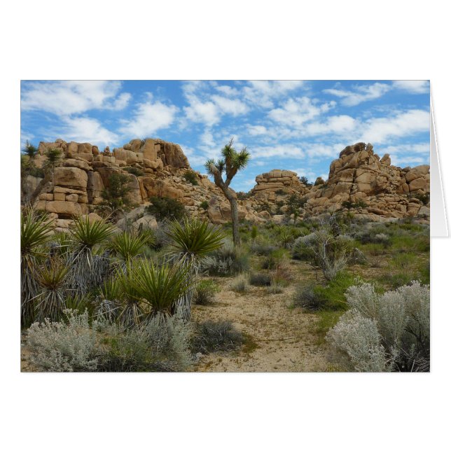 Sendero Barker Dam Loop en el Parque Nacional Josh (Anverso (Horizontal))
