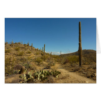 Sendero Carillo de Saguaro en Parque Nacional Sagu
