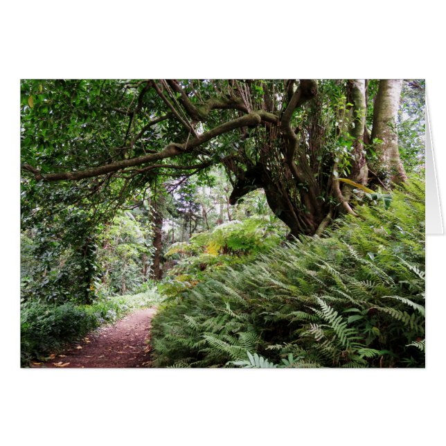 Sendero de Hawái (Anverso (Horizontal))