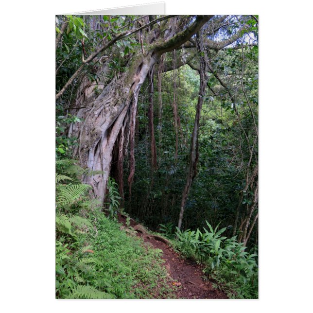 Sendero de Hawái (Frente)