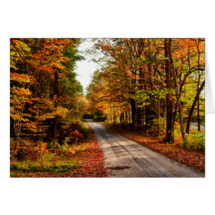 Sendero de madera con follaje de otoño