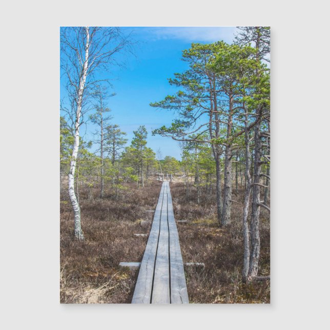 Sendero de madera sobre pantano (Anverso)