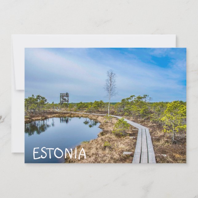 Sendero de madera sobre pantano en Estonia (Anverso)