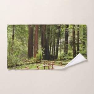 Sendero de Muir Woods I Fotografía de la naturalez