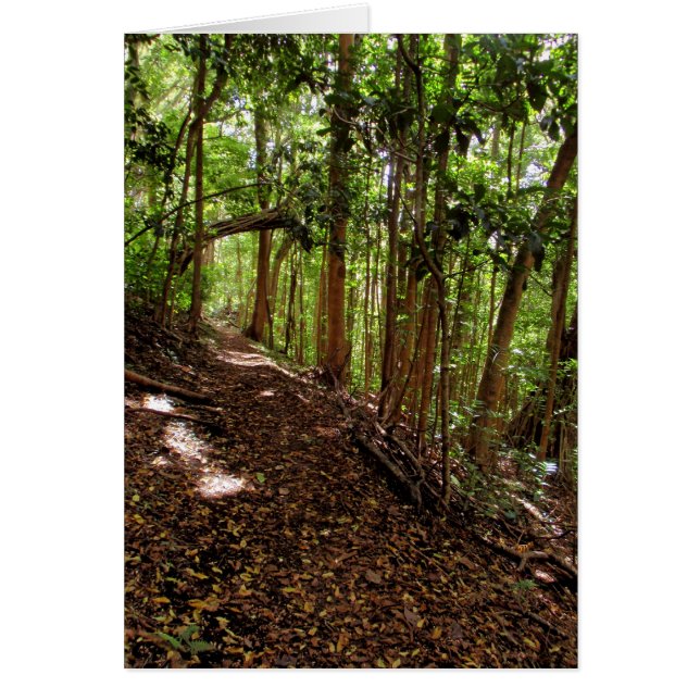 Sendero de Tantalus (Frente)