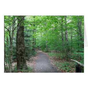 Sendero del lago Lonesome en New Hampshire