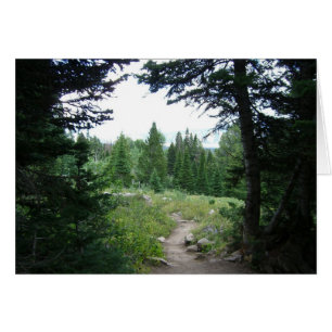 Sendero Grand Teton
