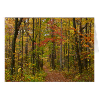 Sendero Laurel Hill en otoño