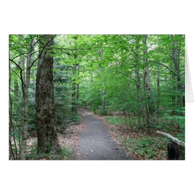 Sendero Lonesome Lake Trail en New Hampshire (Anverso (Horizontal))