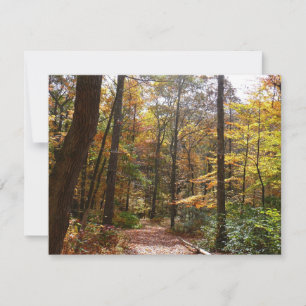 Sendero Sunlit Fall en el Parque Estatal Laurel Hi