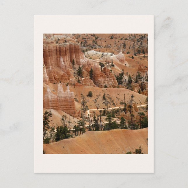 Senderos de Tarjeta Postal del Cañón Bryce (Anverso)