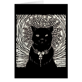 Señor del gato