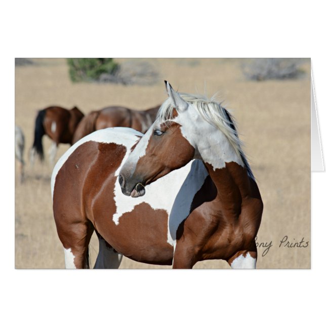 Señora Braveheart Card (Anverso (Horizontal))