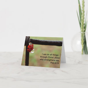 Señora Bug - tarjetas de felicitación Scriptural