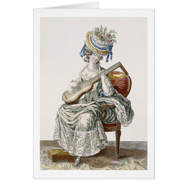 Señora en un vestido del tafetán del tiro (Frente)