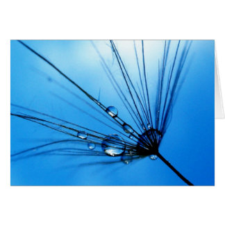 Señora Sings The Blues Card