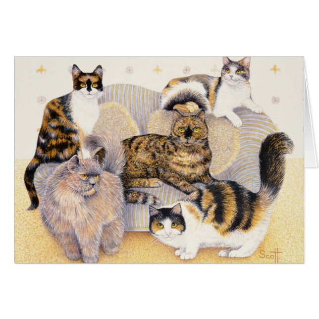 Señoras de la concha (Anverso (Horizontal))