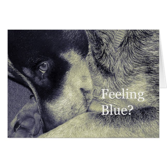 Sensación de azul (Anverso (Horizontal))