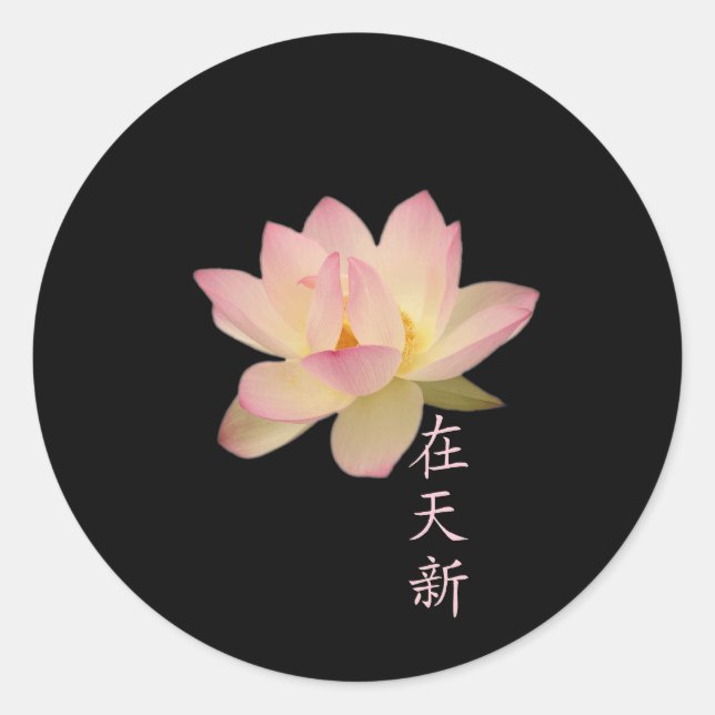 Sensación de Pegatinas Zen (Anverso)