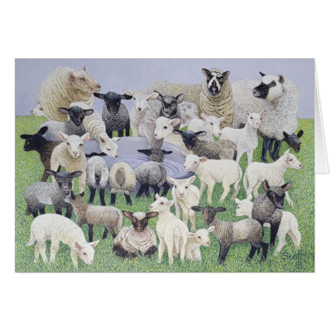 Sensación vergonzoso (Anverso (Horizontal))