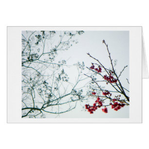 Sensibilización de la primavera/espacio en blanco