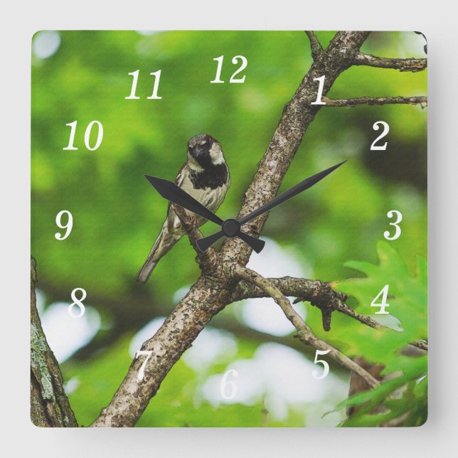Sentado alrededor del reloj de pared (Anverso)