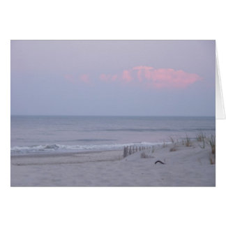 Sentado en las dunas