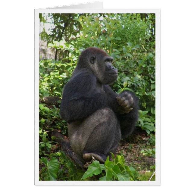 Sentado, quizá pensando, pero probablemente, solo  (Frente)