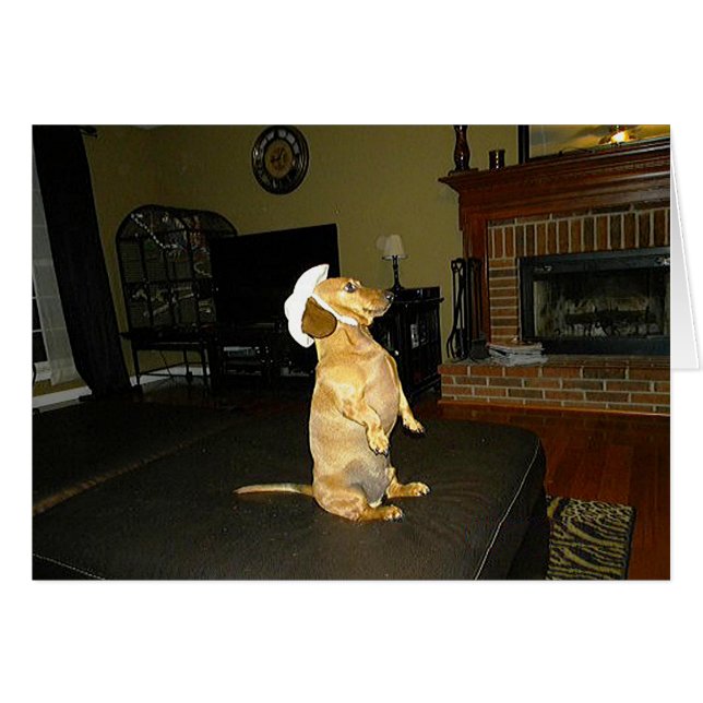 Sentando Bonito o viendo televisión Dachshund (Anverso (Horizontal))