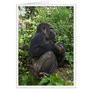 Sentándose, quizá pensamiento, pero probablemente,