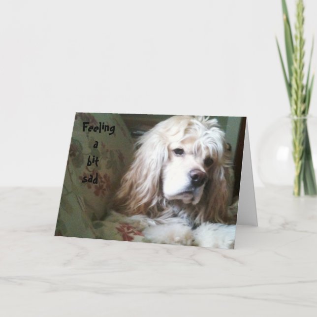 SENTIMIENTO UN POCO TRISTE SOBRE LA TARJETA DE LA  (Anverso)