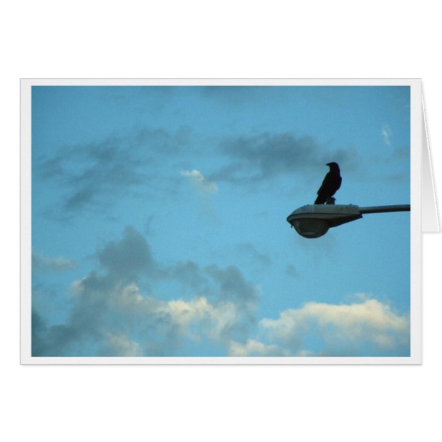 Sentinel (Anverso (Horizontal))