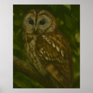 Sentinel forestal - Arte de vida silvestre de lech