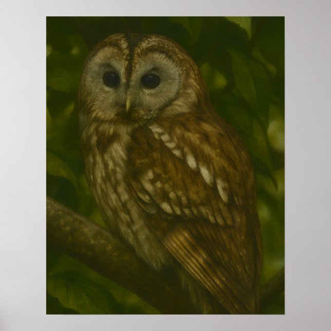 Sentinel forestal - Arte de vida silvestre de lech (Frente)
